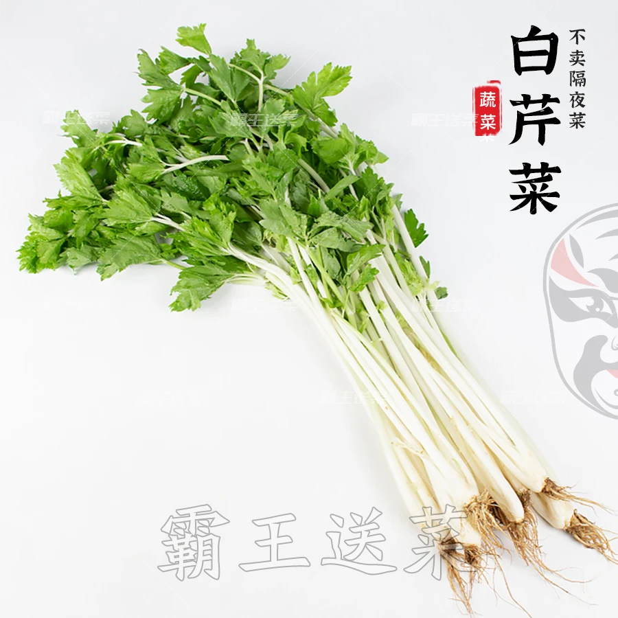 【1餐食调味】白芹菜 200g