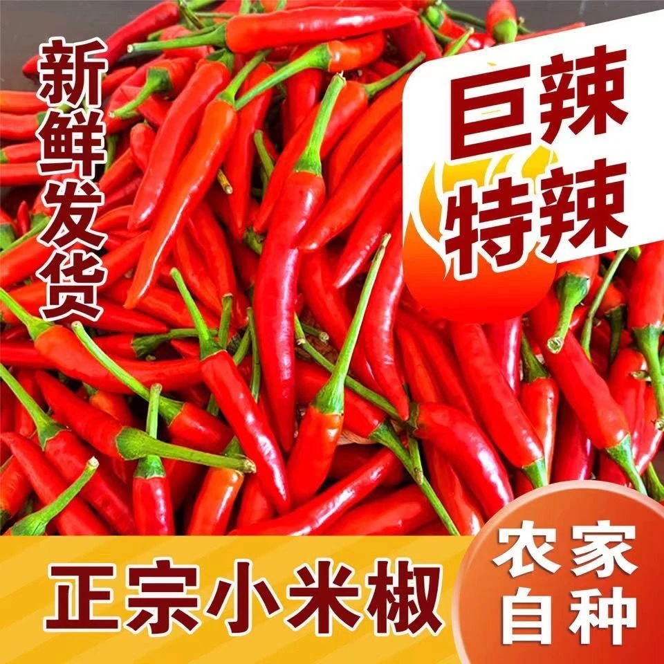 【云南小米辣】云南露天小米辣新鲜现摘现发产地发货250克/9斤净重