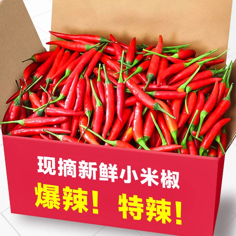 现摘小米辣椒批发新鲜小米椒朝天红特辣彩辣椒指天椒湘菜火锅食材