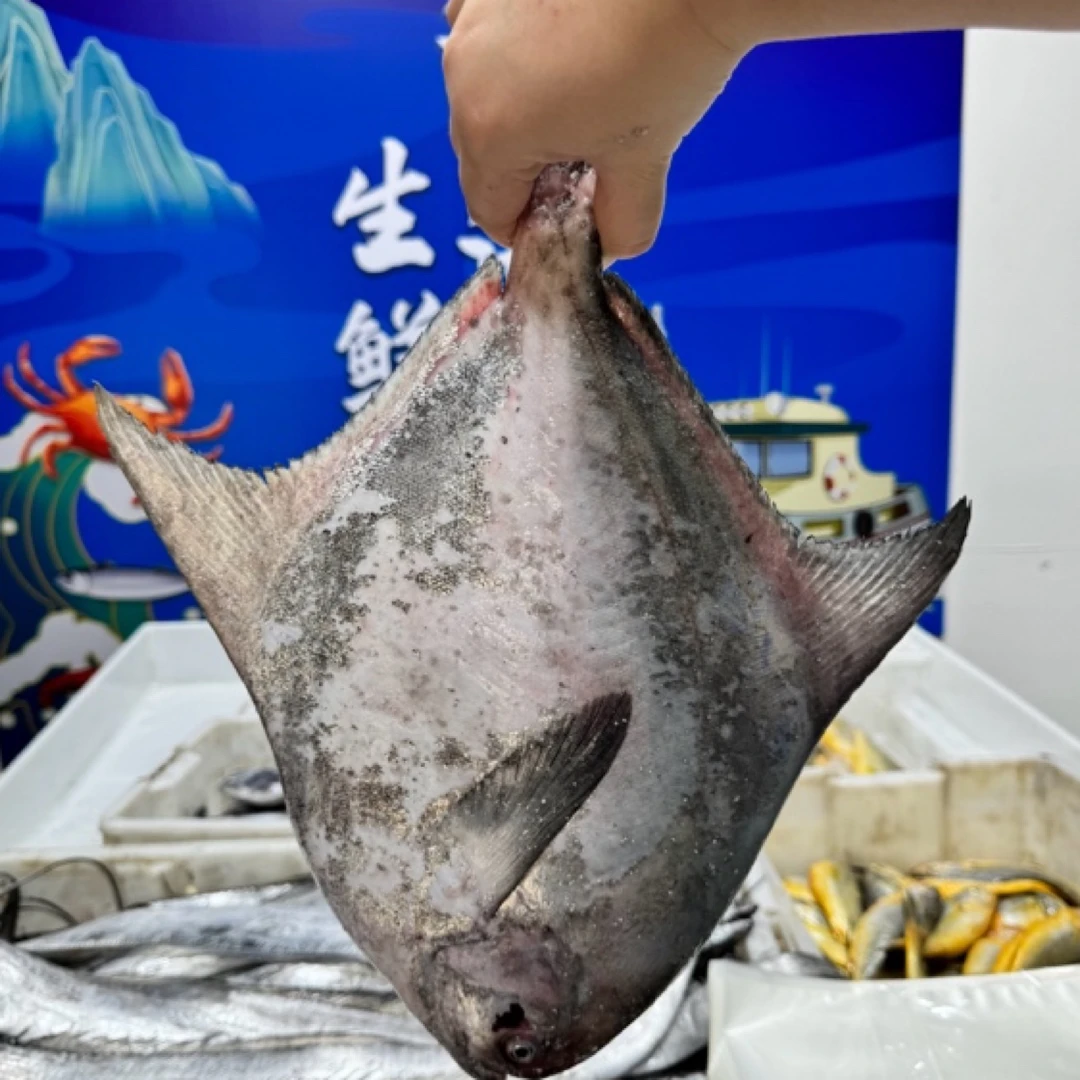 【直播间现称】宁波东海流网银白鲳鱼1000g