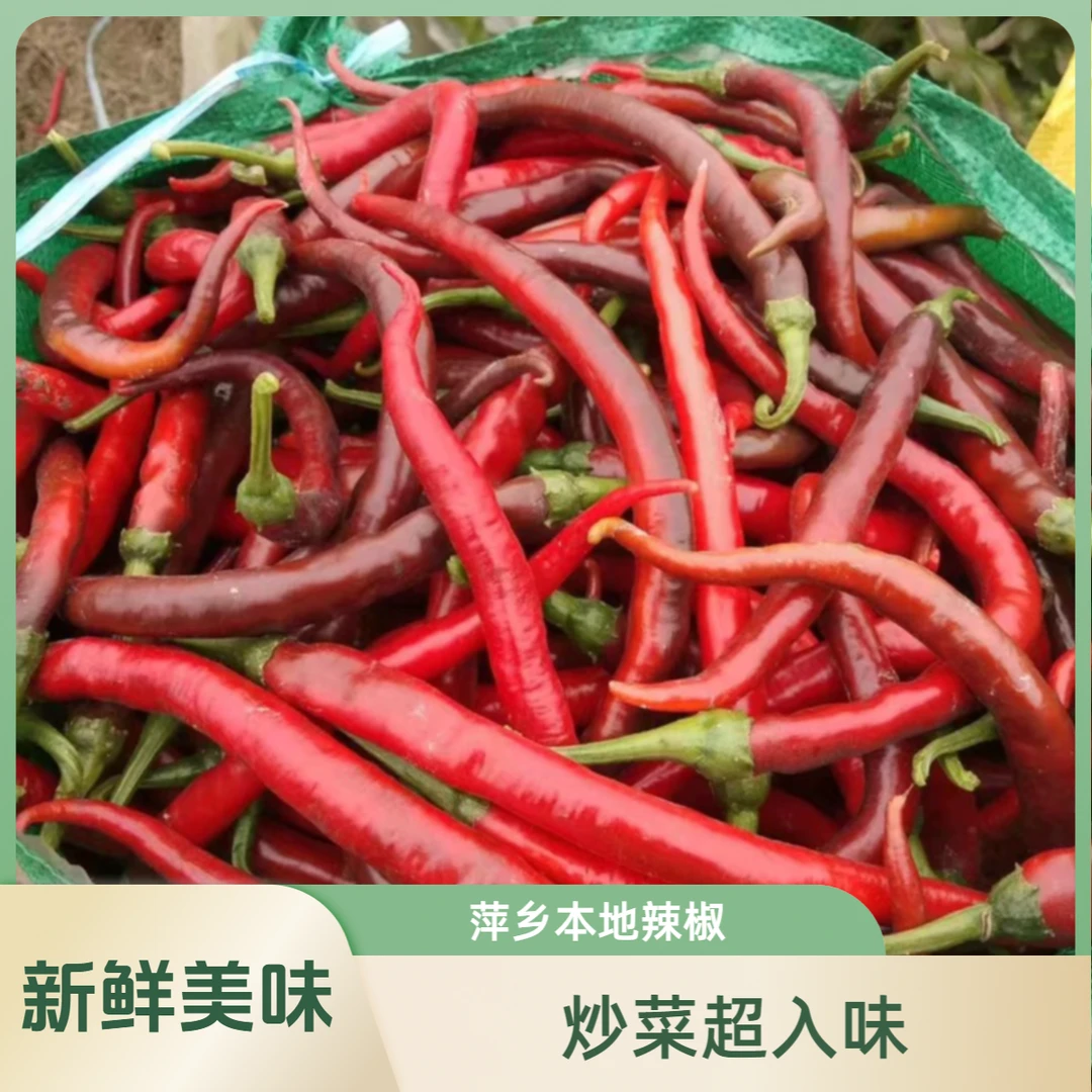 【顺丰】老品种萍乡麻山 本地辣椒 红辣椒 自然红  炒肉特香
