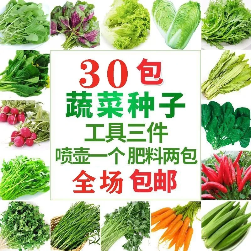 四季播易种蔬菜种子套餐阳台菜园鸡毛菜生菜菠菜小葱黄瓜韭菜种籽