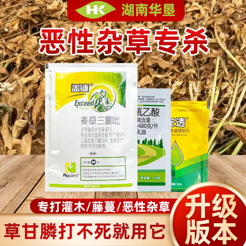 恶性杂草专杀方案构树藤蔓灌木水花生除草剂除草烂根低毒