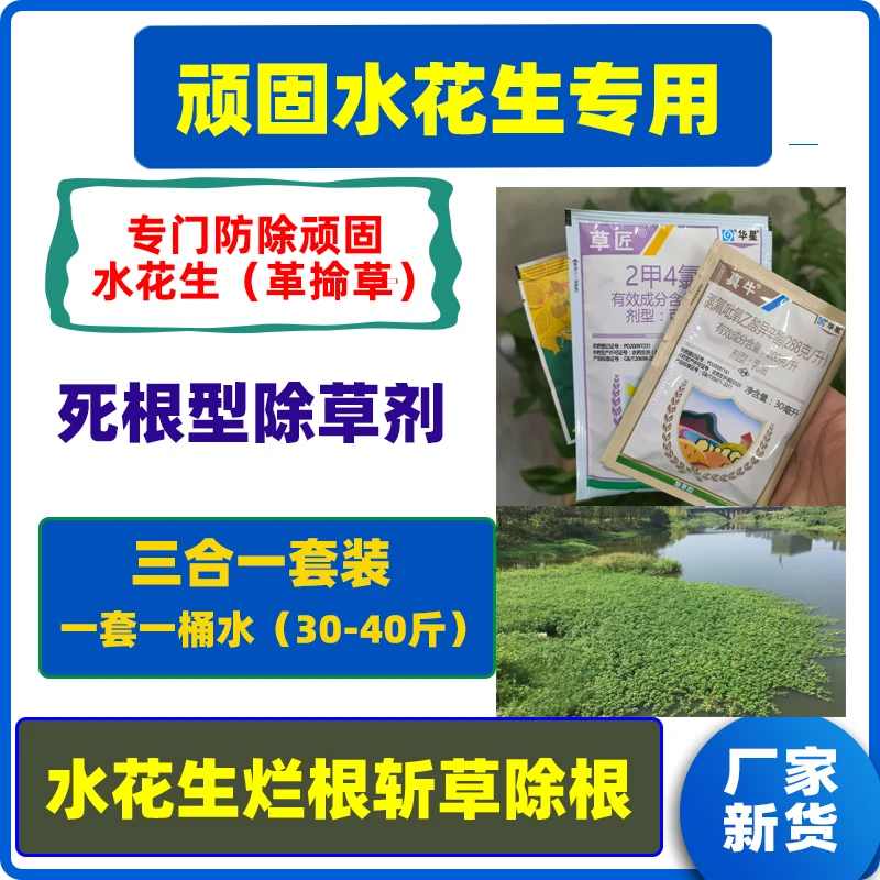 顽固水花生专杀方案水花生净烂根死根型除草剂专杀三合一方案