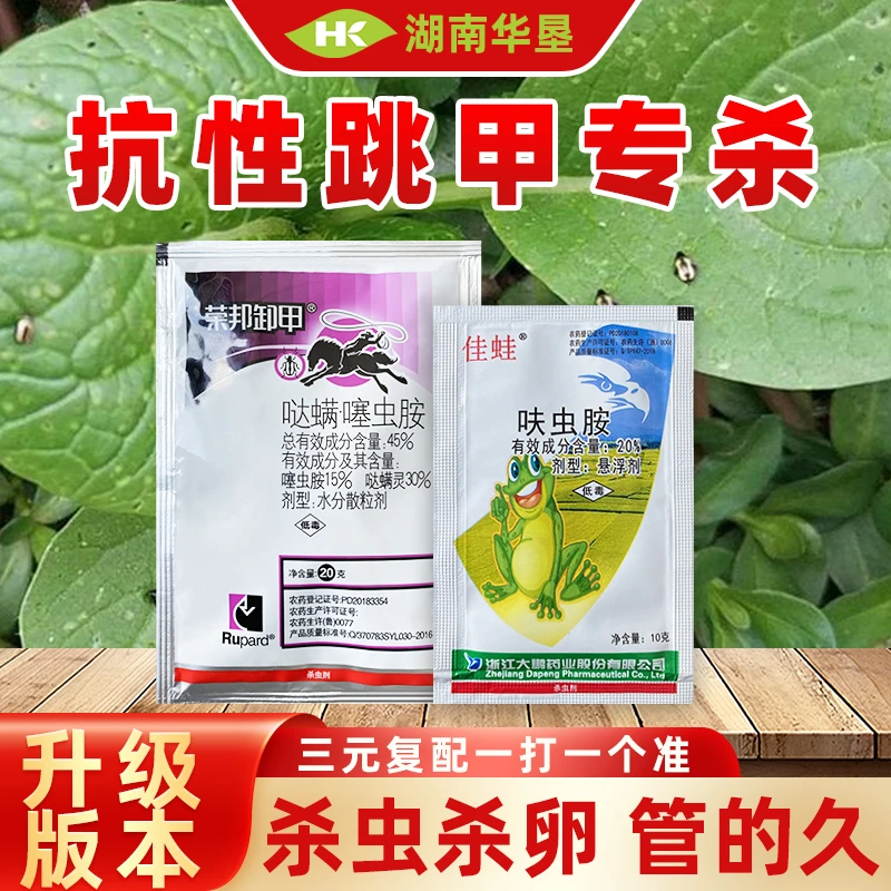 跳甲专杀方案哒螨灵噻虫胺蔬菜抗性跳甲套餐害虫复配高含量杀虫剂