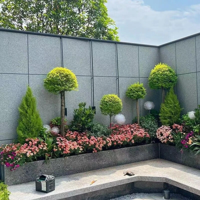 直播专用庭院花园花坛乔木灌木地被植物草类花卉绿植开花植物花镜
