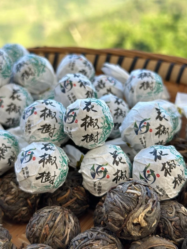 勐库大雪山 花椒树辖区（红菌山地块）头春（2024年）百年古树