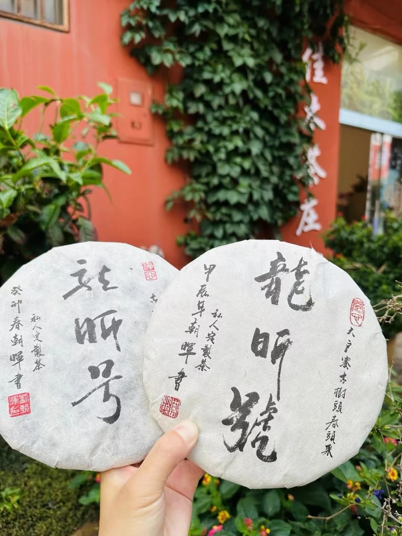 普洱茶  通用链接