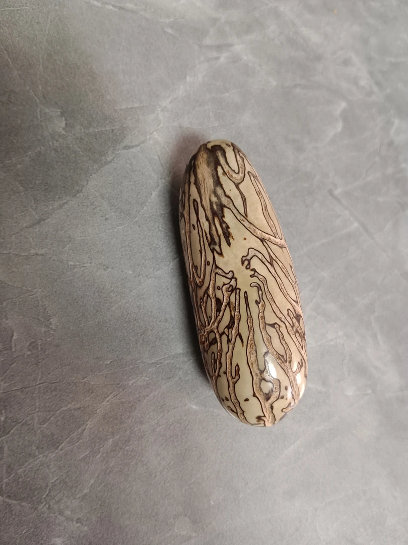 千眼菩提原籽公果