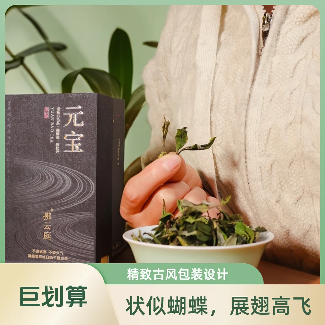 2023【老枞白毛茶｜蝴蝶茶一级牡丹】元宝｜福鼎纯日晒干燥白茶