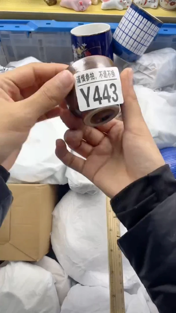 【闪购商品】陶瓷Y443