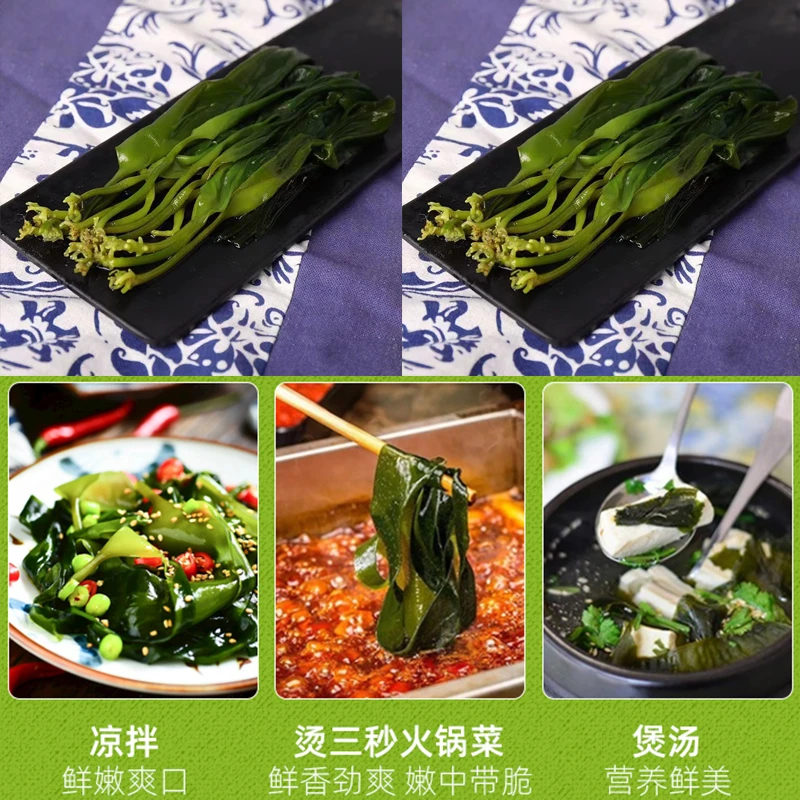 霞浦海带嫩苗凉拌海带芽火锅店专用海带苗盐渍新鲜商用炖汤非干货