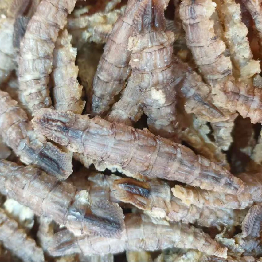 青岛发货大号干虾虎肉半带籽 烘干无盐 7-8成干 0.5斤-2斤