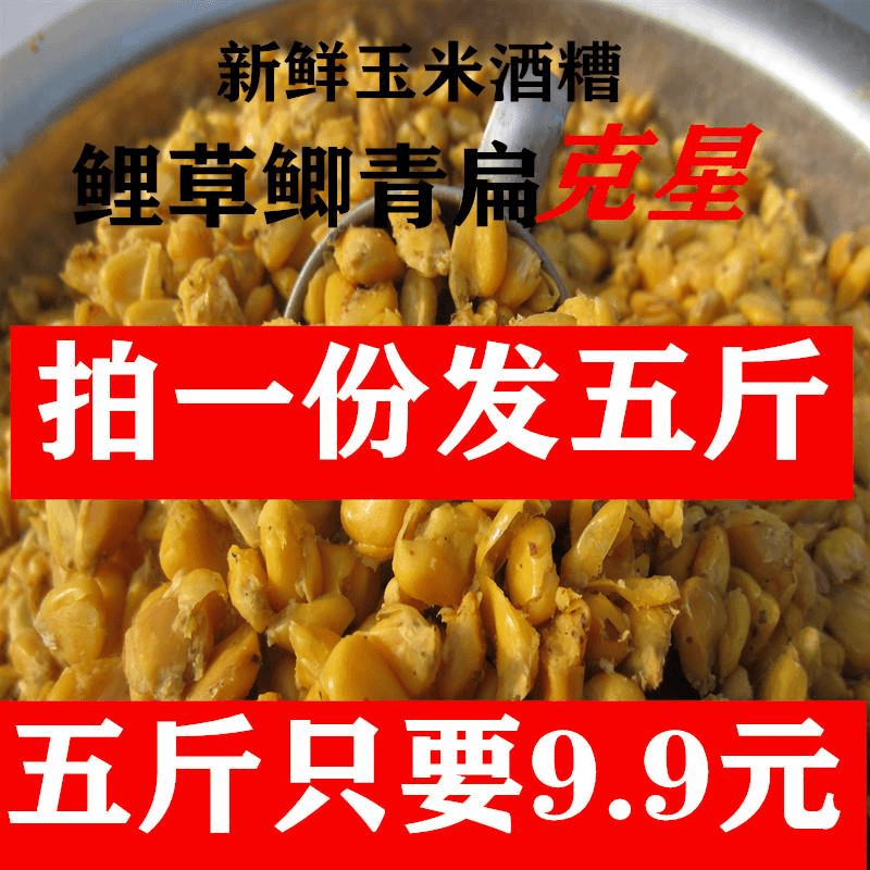 老坛发酵玉米酒糟小麦野钓打窝鱼饵鱼饵冬季水库鲫鱼鲤鱼草鱼青鱼