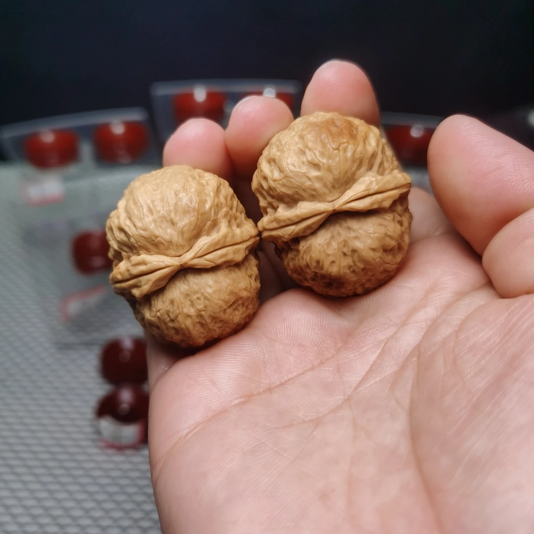 玉面鹦鹉云南野生铁核桃