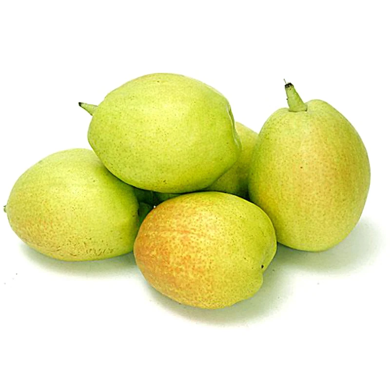 库尔勒香梨(鑫源) 约5kg/箱