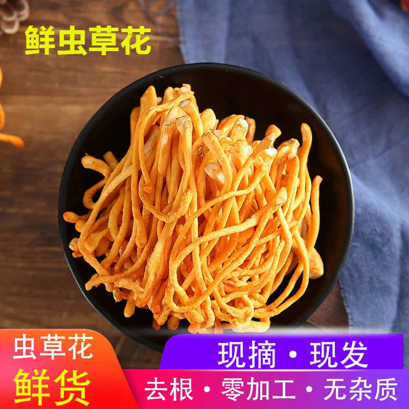 1斤北虫草花鲜货鲜湿虫草花金北新鲜采摘菌类煲汤食材自产自销