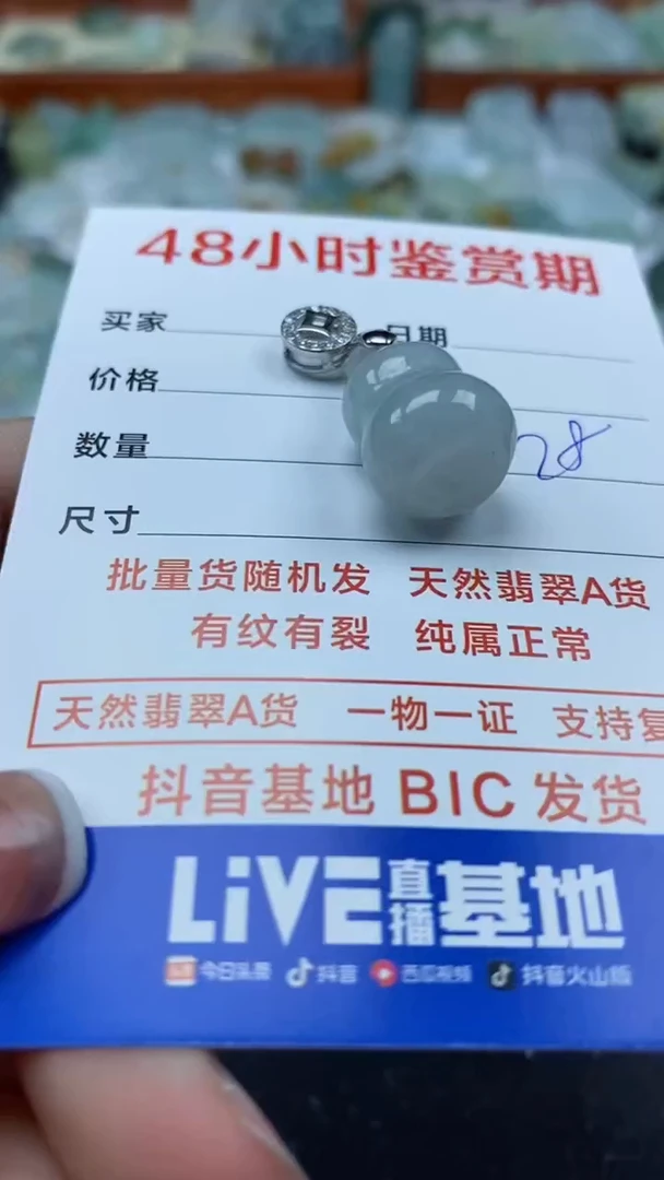 【闪购商品】翡翠颈饰未镶嵌451