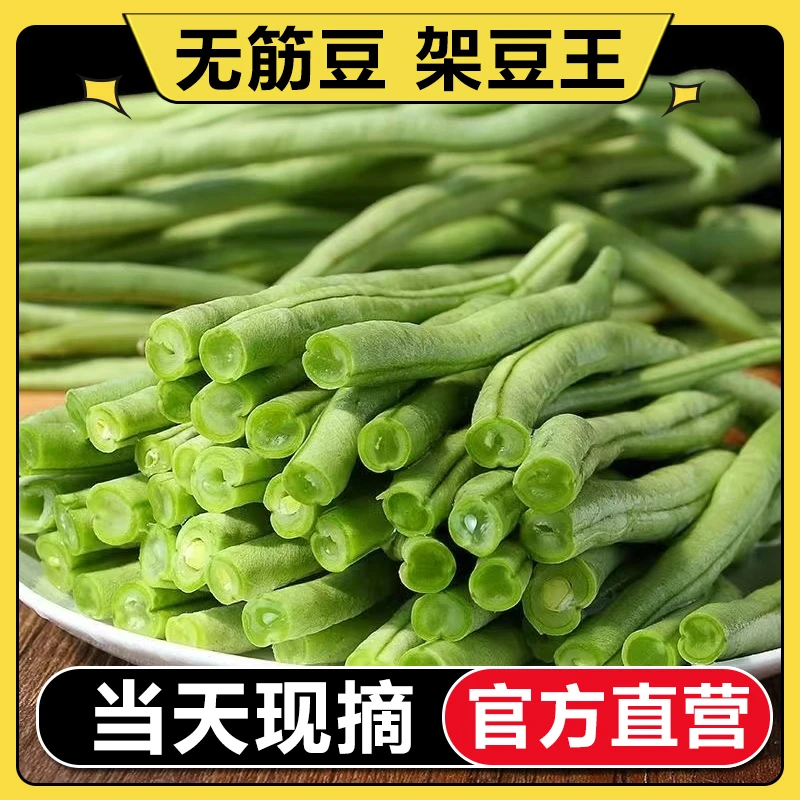 新鲜现摘无筋豆架豆王四季豆无筋无丝豆角应急蔬菜净重2-4斤包邮