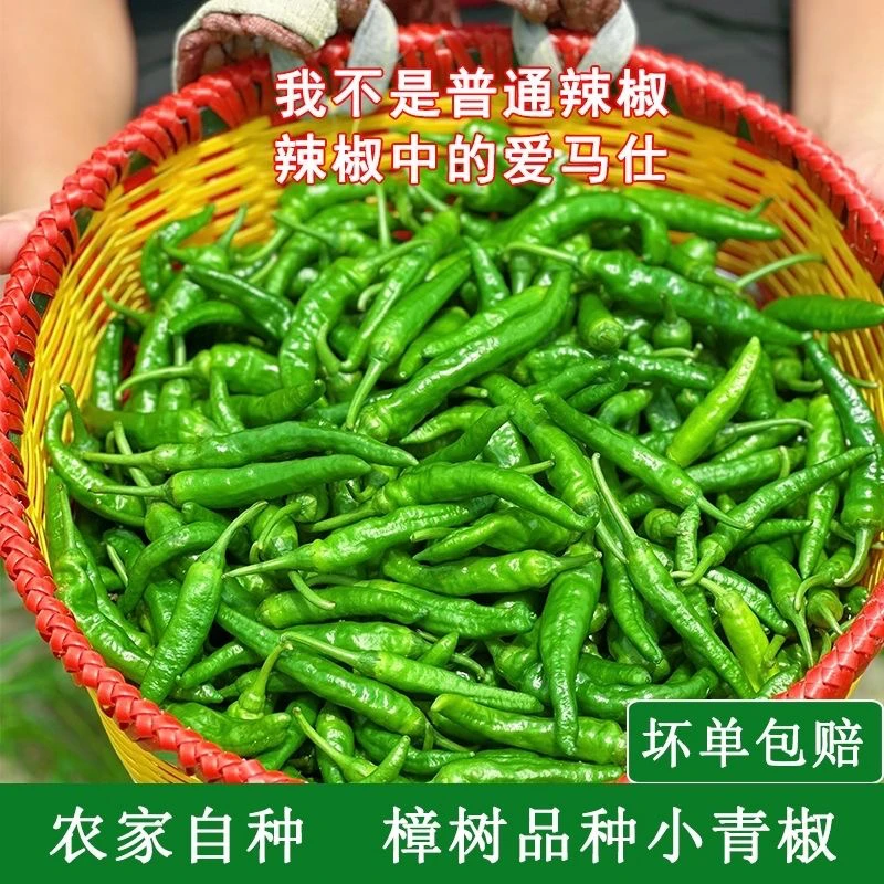贵州农家新鲜小樟树小辣椒青色辣椒混农家土辣椒装现摘现发混装