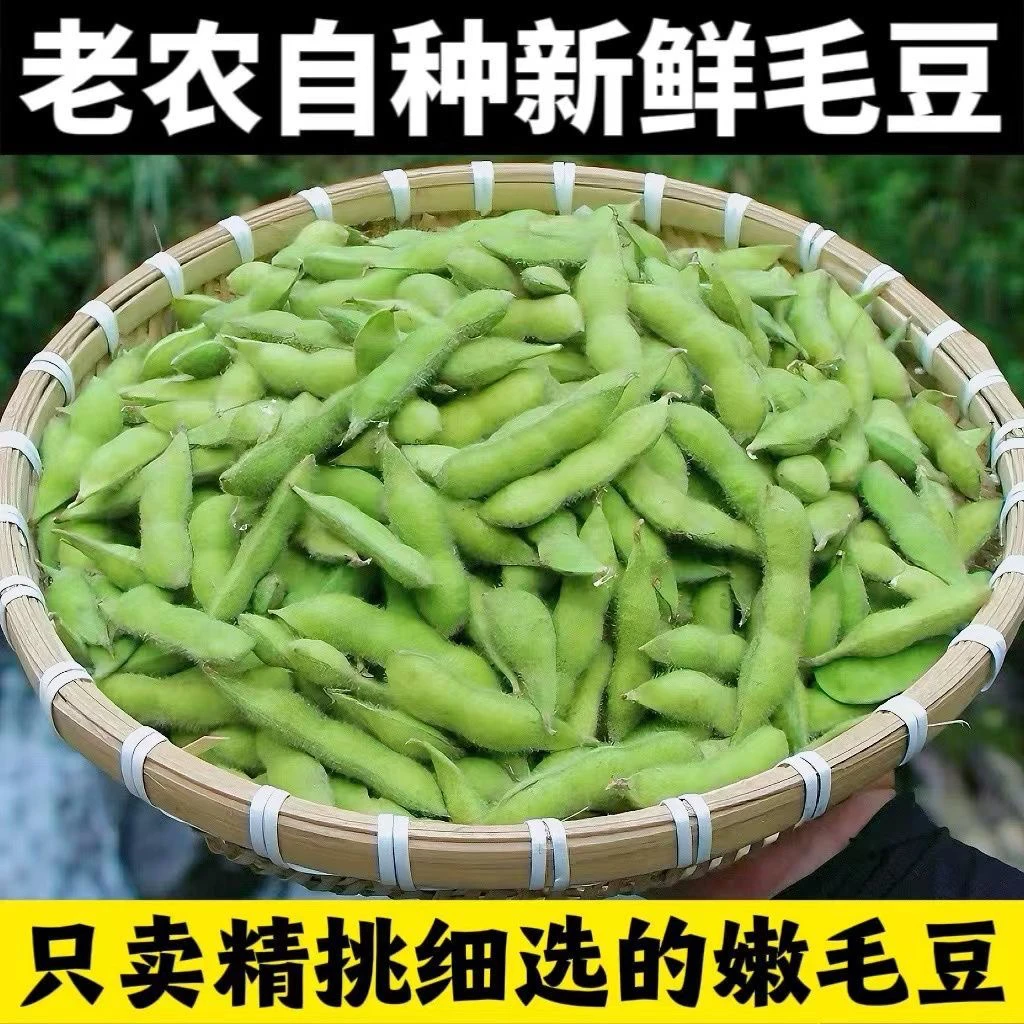 贵州毛豆带壳鲜毛豆批发现摘现发新鲜发货新鲜蔬菜毛豆荚青豆批发