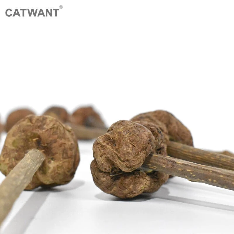 CATWANT/猫咪旺农场虫瘿果冻干木天蓼磨牙棒减压洁牙自嗨玩具解闷