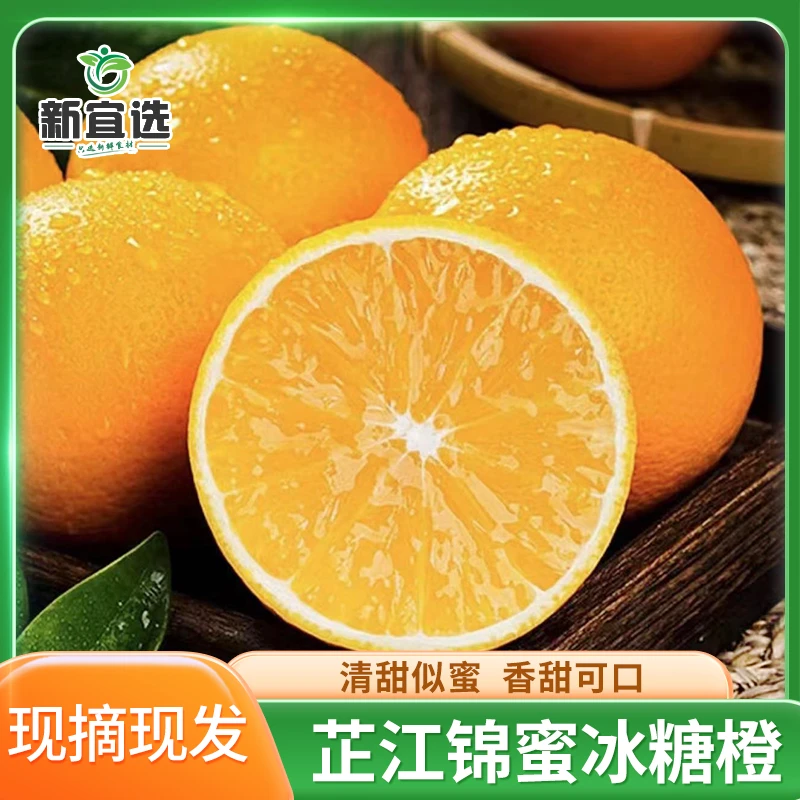 湖南芷江天然锦蜜冰糖橙新鲜水果现摘爆汁香甜脆嫩果冻橙5-9斤