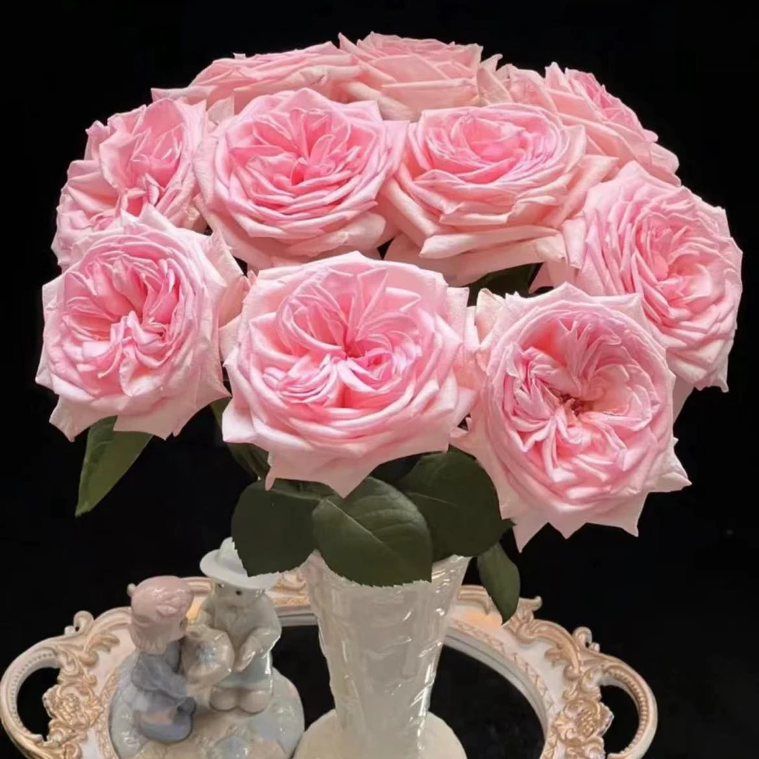 10枝【粉荔枝】单头玫瑰 室内水养花 云南昆明基地直发