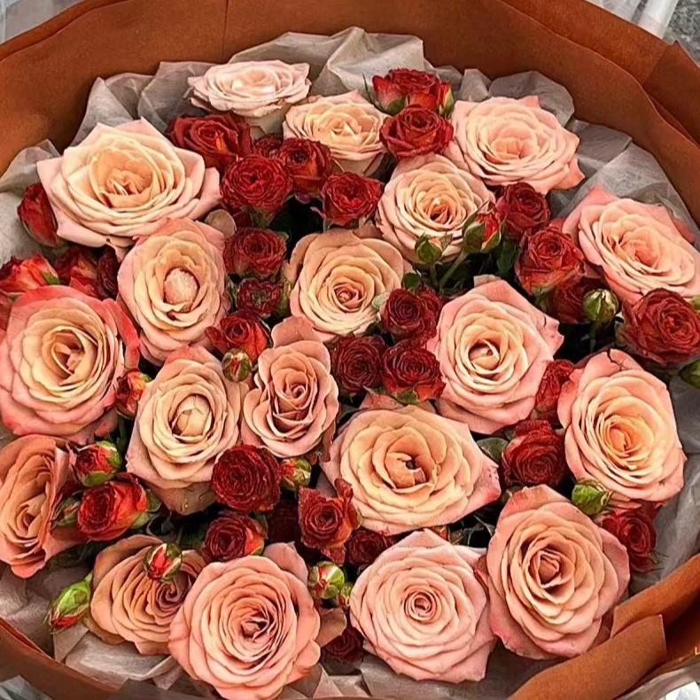 【组合】复古组合卡布奇诺5枝+巧克力泡泡5枝+黄莺5枝