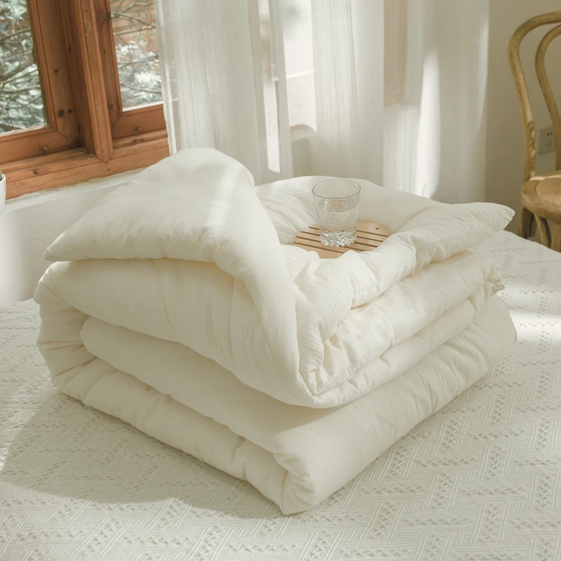 原棉不染大豆被被芯纯棉夏被全棉春秋被冬被加厚保暖四季通用被子