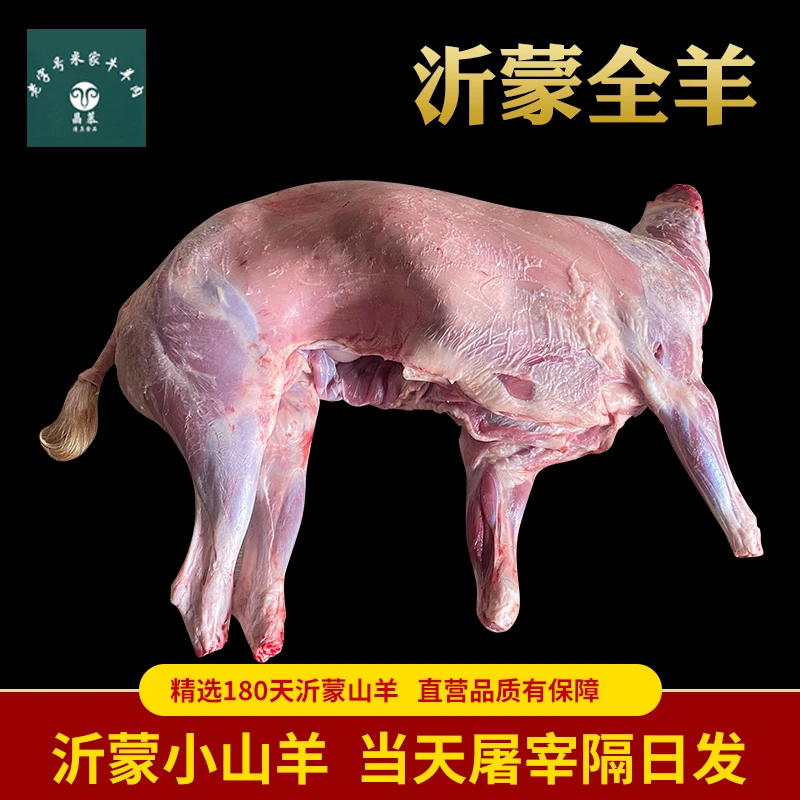 沂蒙山新鲜速冻现杀整只山羊/整羊/整发10公斤起售不切块30%腿排