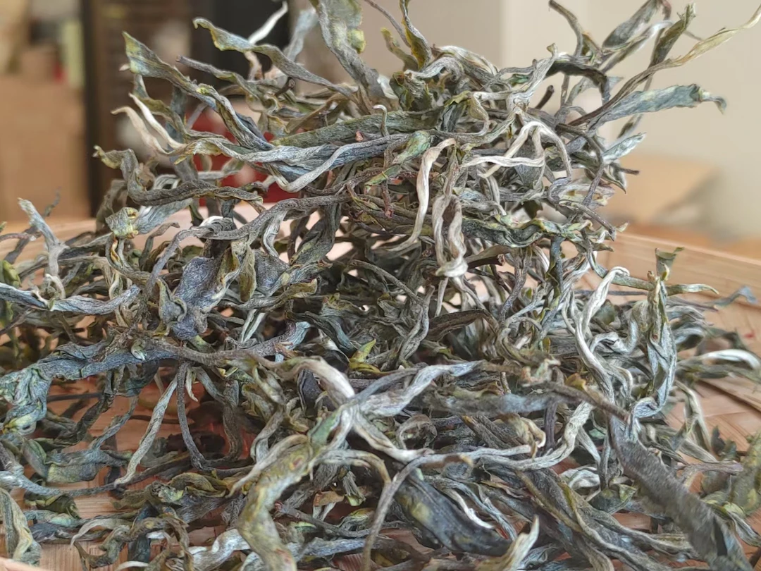 2023年 秋茶古树100克