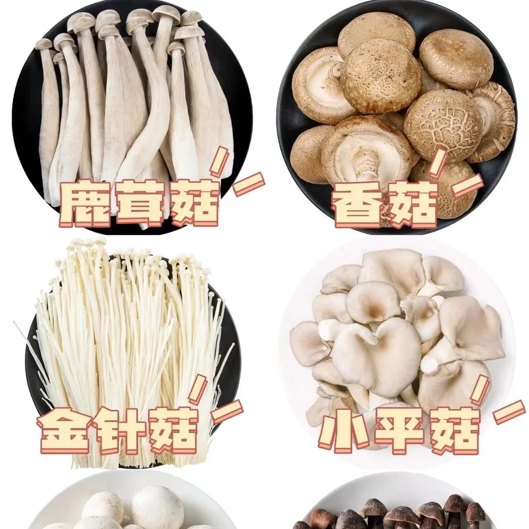 [临时链接勿拍】云南土特产干货菌菇250克