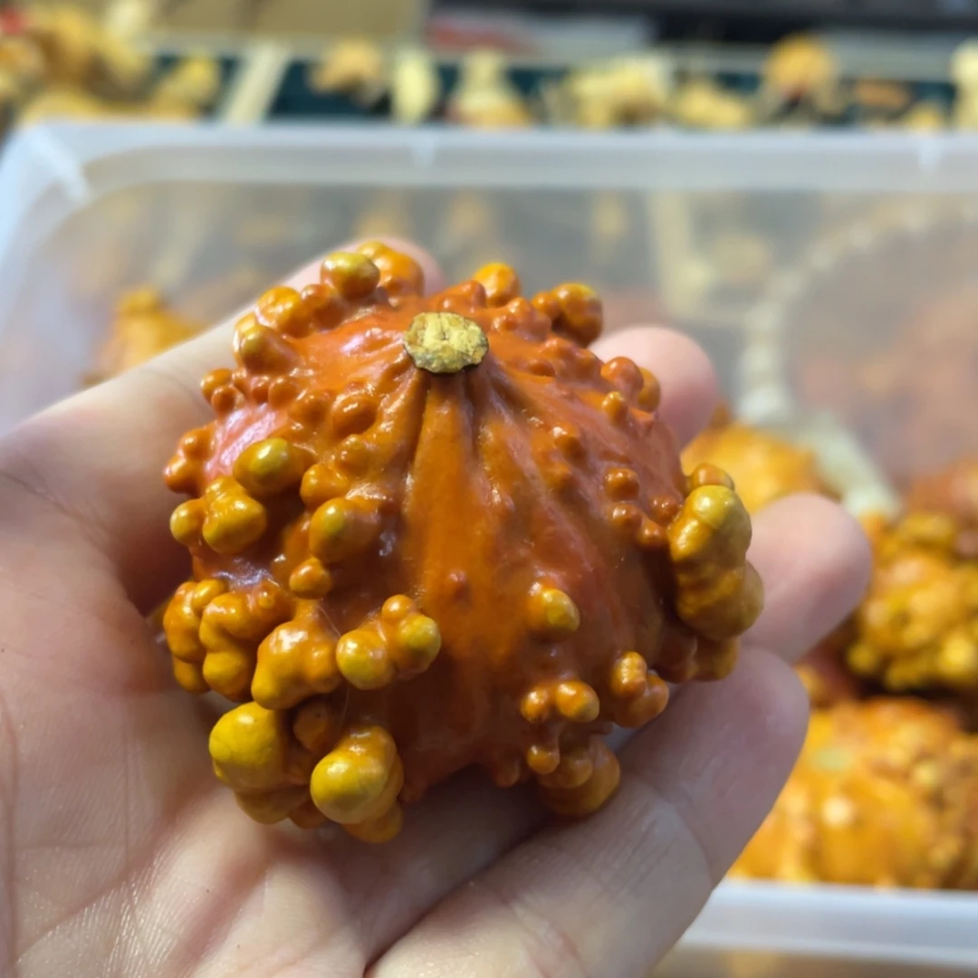 【闪购商品】铜葫芦