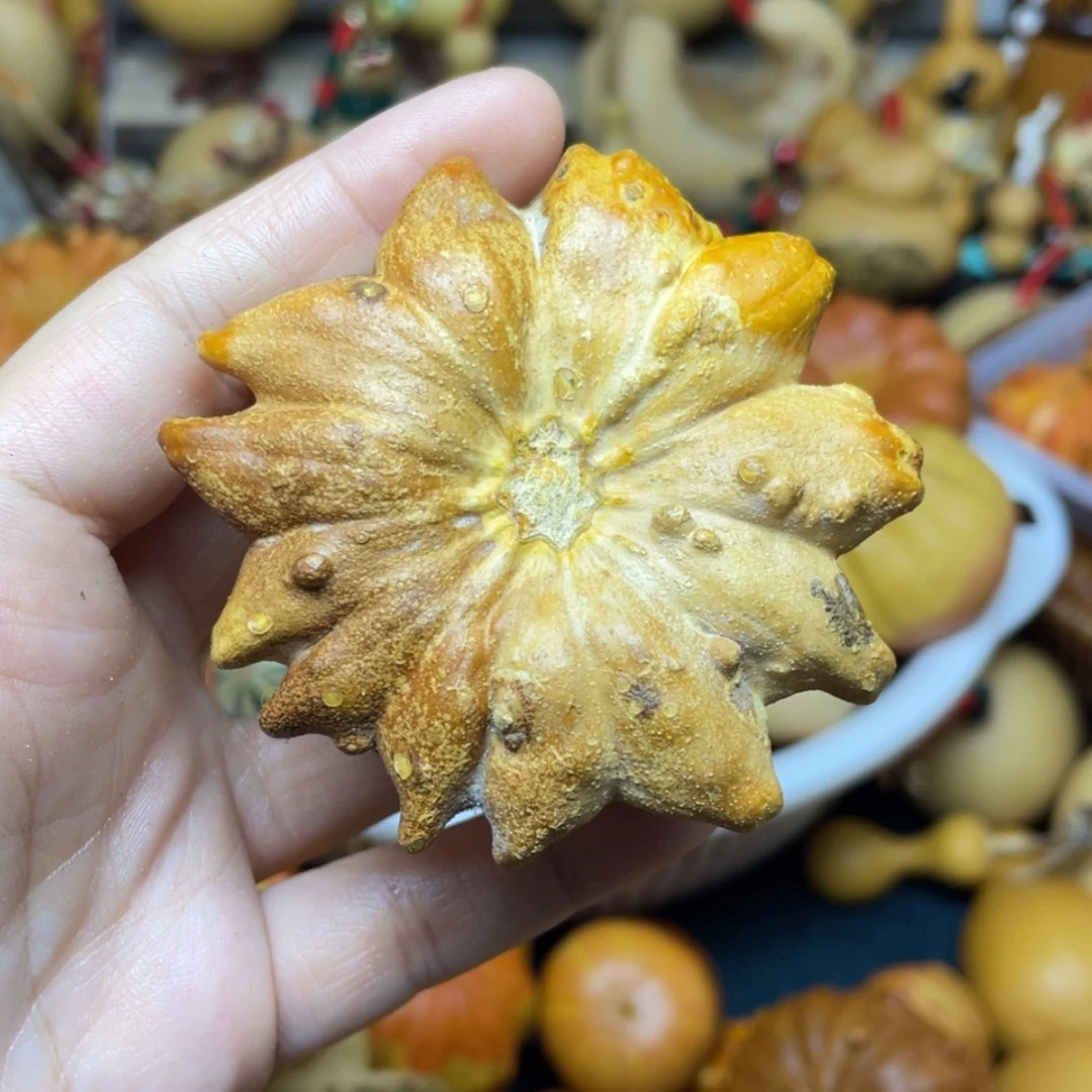 【闪购商品】天然葫芦C****o