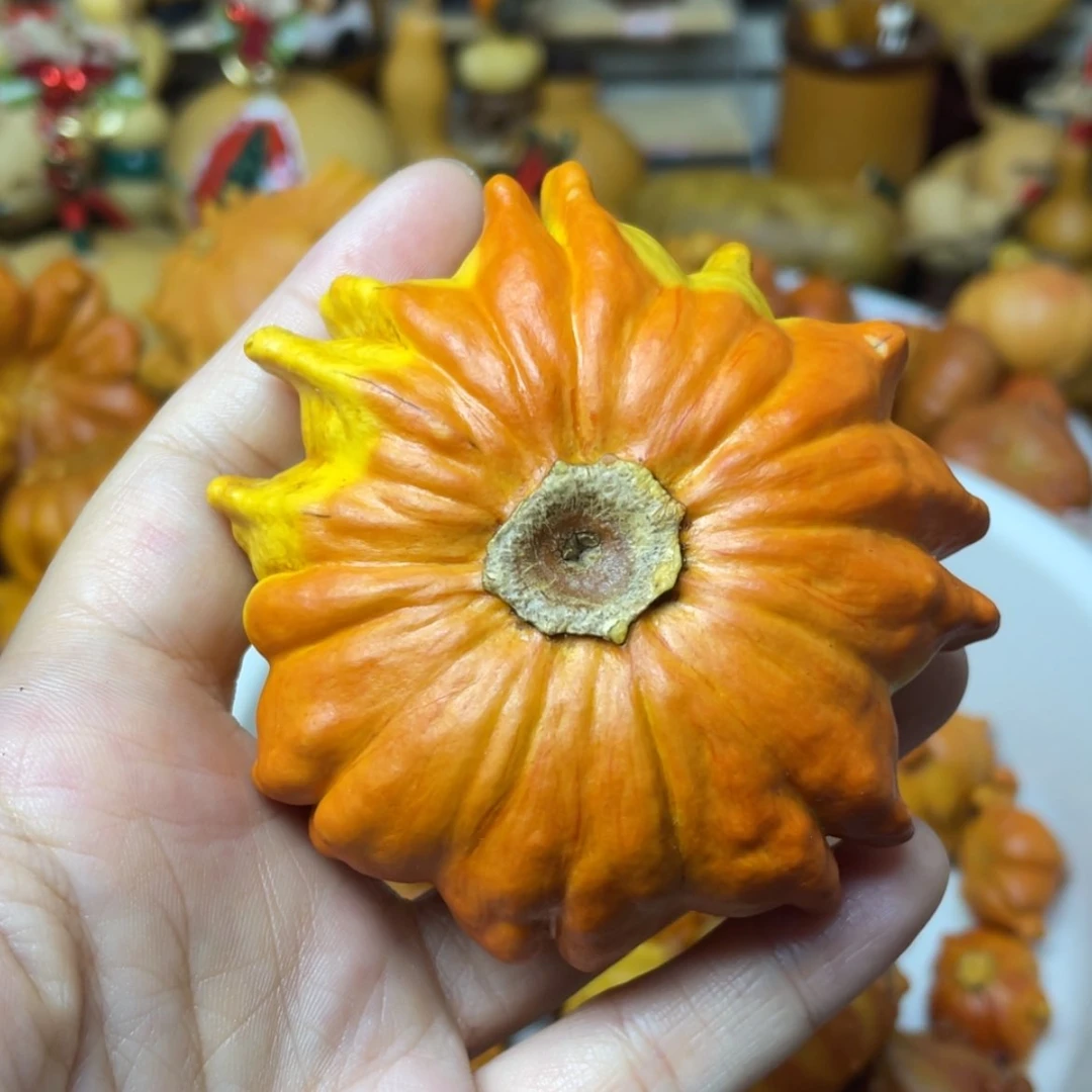 【闪购商品】天然葫芦
