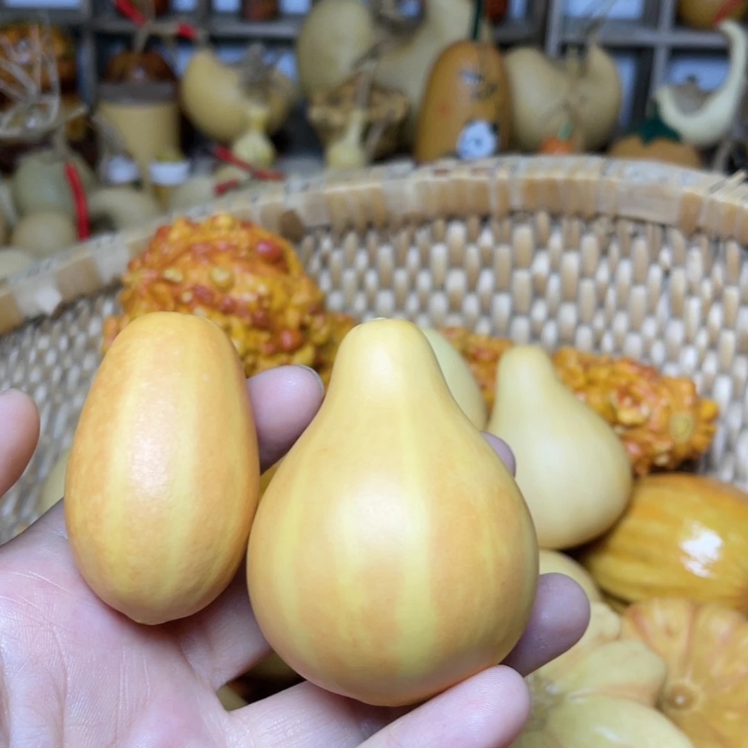 【闪购商品】天然葫芦快****兜