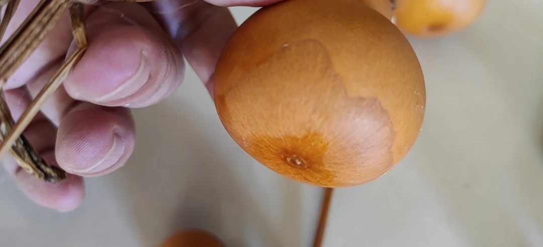 三号普通的小葫芦直播间专用链接