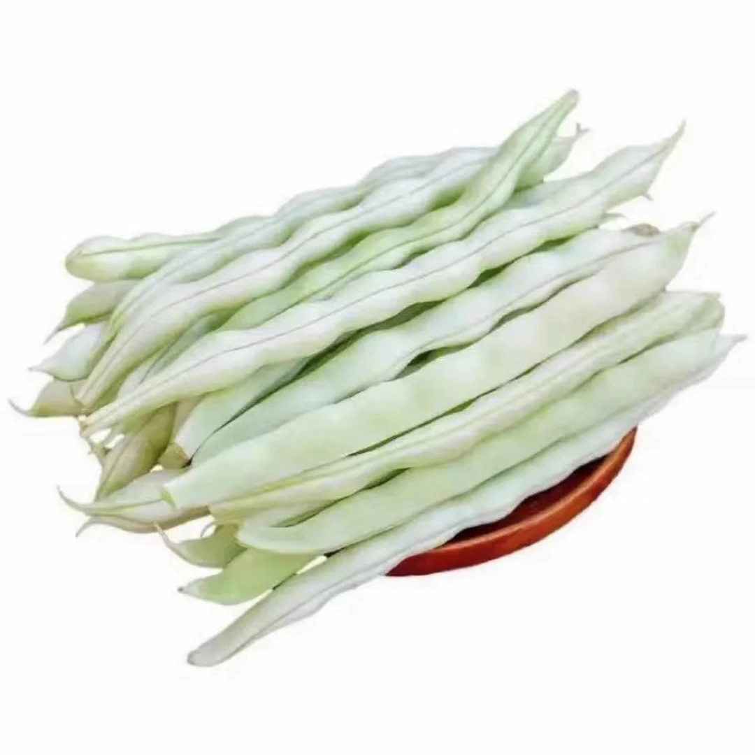 白不老豆角
