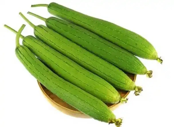 丝瓜250克左右丝瓜同城配