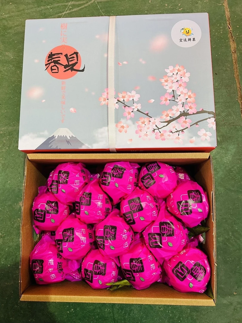 宏运樱花春见9斤左右
