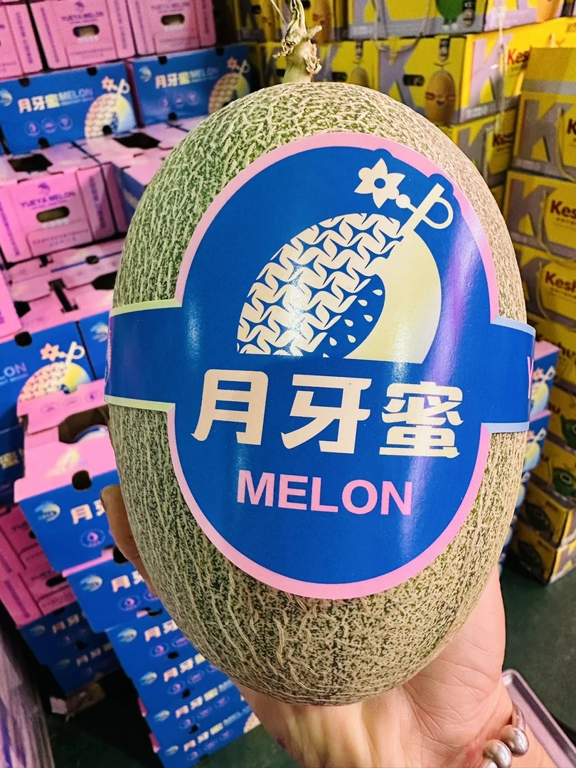 月牙密网纹瓜2个装5斤左右