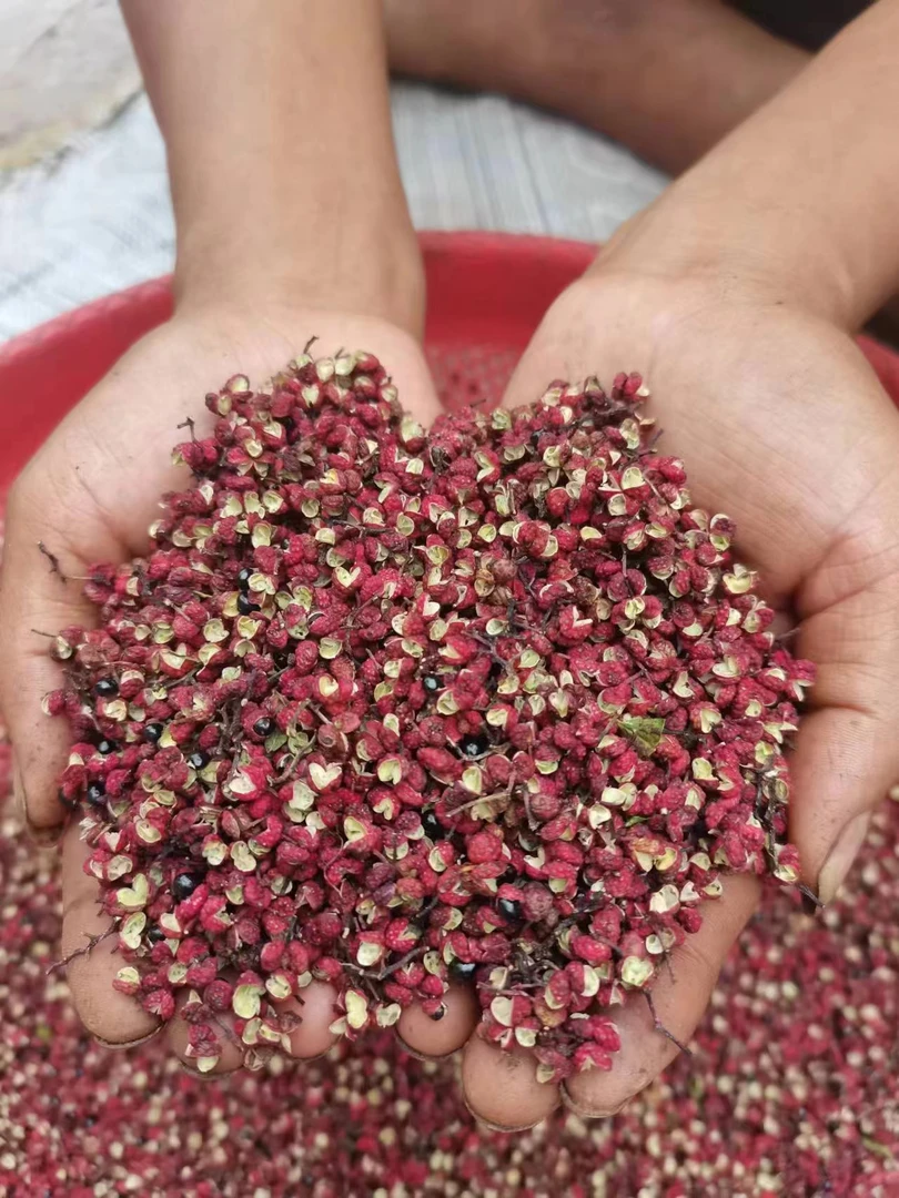 大凉山红花椒（当季）