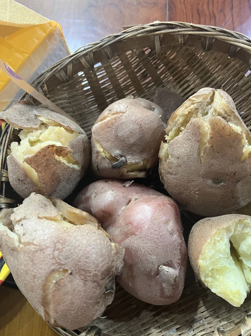 大凉山当季高山土豆9斤