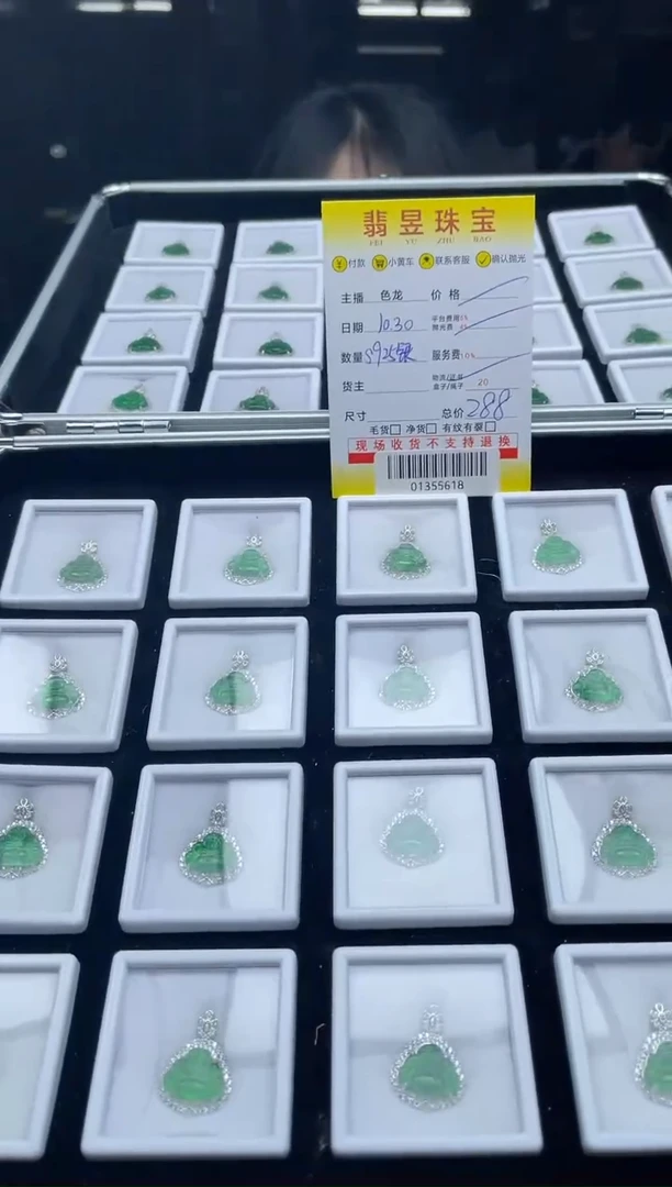 【闪购商品】翡翠颈饰银S925镶嵌s925银-01355618-多样性发货