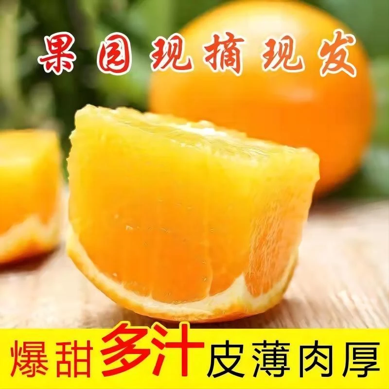 湖南麻阳冰糖橙5/9斤爆甜多汁新鲜现摘天然皮薄大果阳光省内
