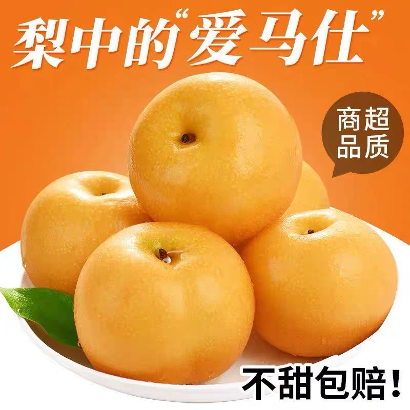 正宗砀山秋月梨皮薄肉厚汁水多入口化渣现摘现发新鲜脆甜无渣RD