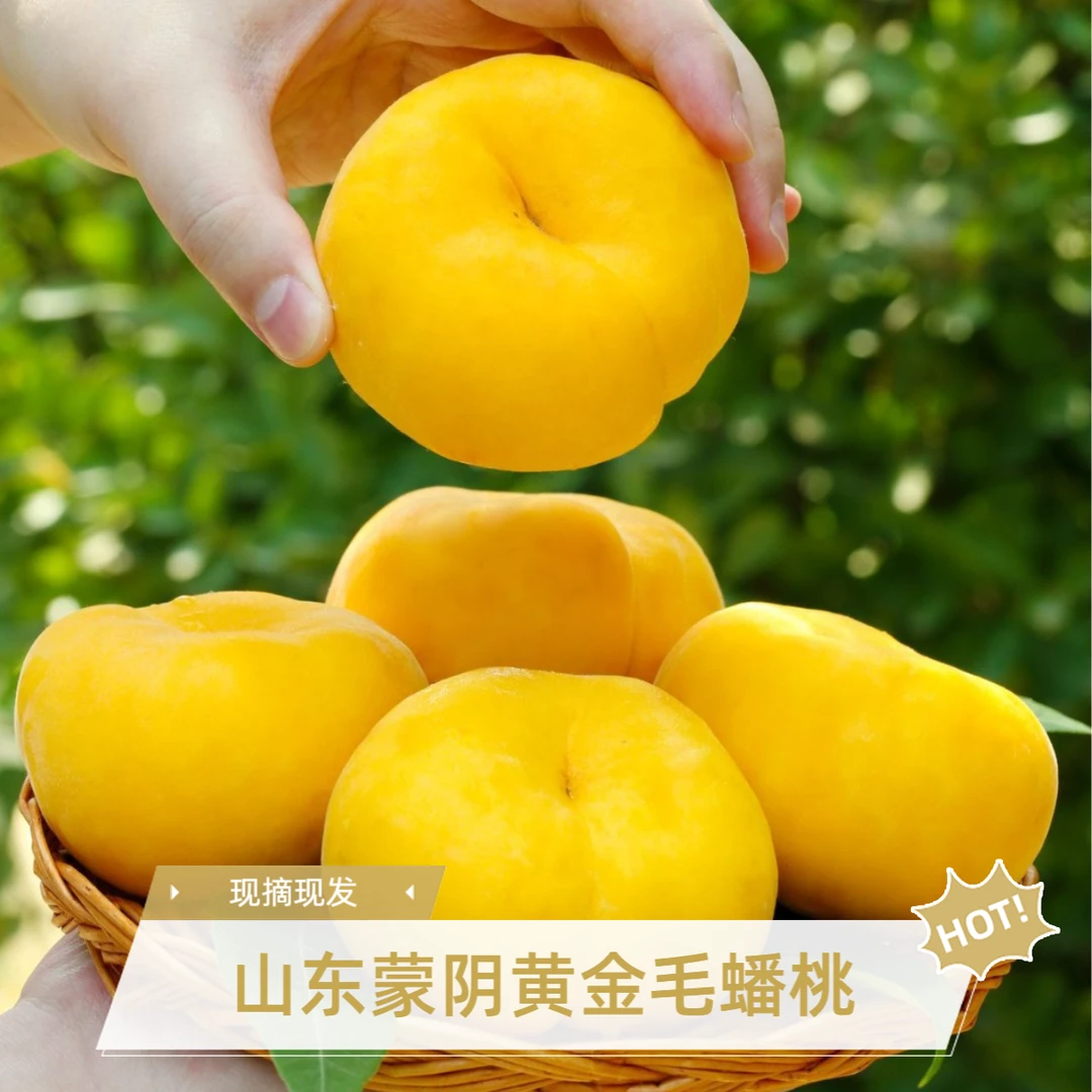 山东蒙阴新鲜黄金毛蟠桃爆甜多汁现摘现发带箱5斤水果桃子软硬