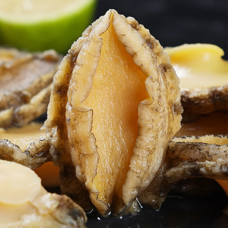 去壳净肉鲍鱼肉免清理去内脏大鲍鱼生鲜捞汁海鲜鲜活冷冻水产商用