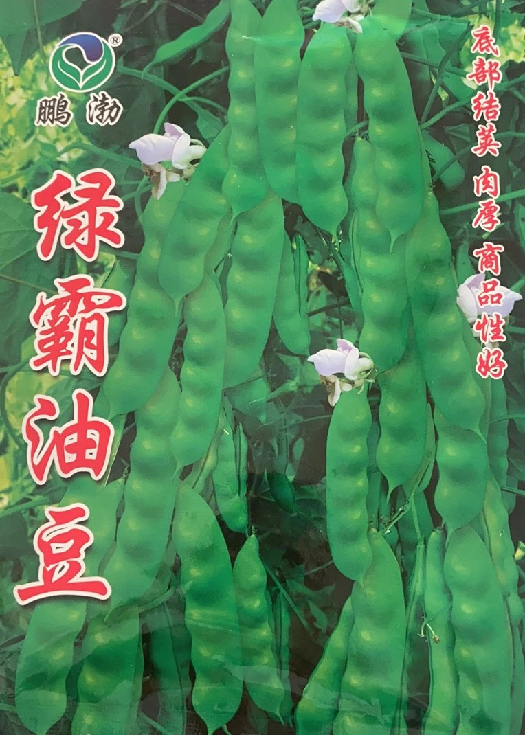 绿霸压趴架大油豆种子